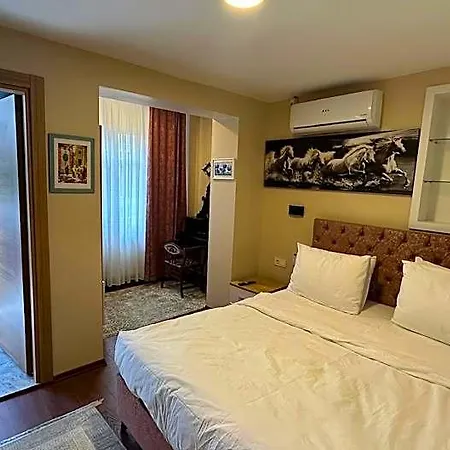 Albatros Istanbul
